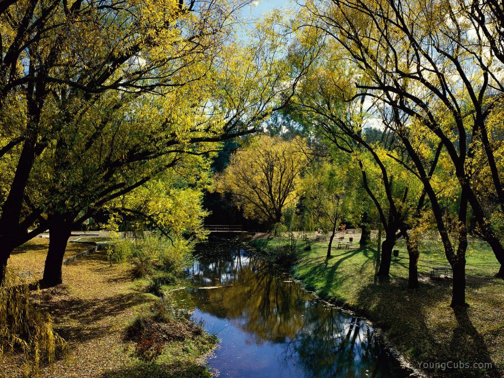 Morse's Creek, Bright, Victoria, Australia